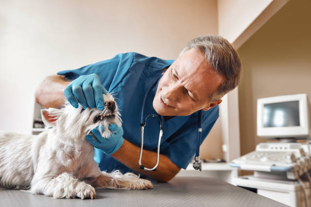 Best Emergency TMJ Treatment in Wewa, OK